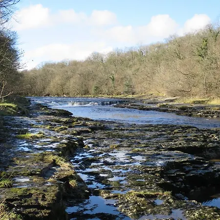 Bed & Breakfast Wensleydale Farmhouse B&B 4*