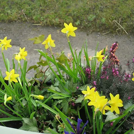 Bed & Breakfast Wensleydale Farmhouse B&B