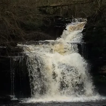 Bed & Breakfast Wensleydale Farmhouse B&B