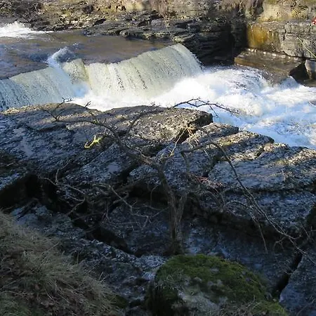 Wensleydale Farmhouse B&B 애이스가스